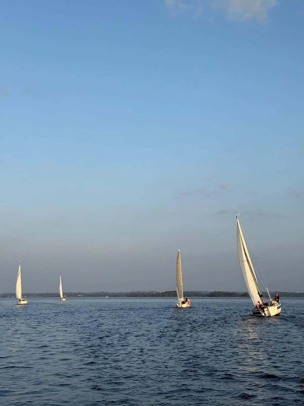 A fleet of keelboats racing across Lough Neagh in the evening light